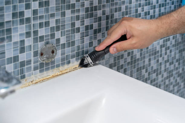 Best White Mold Remediation in Burnsville, MN